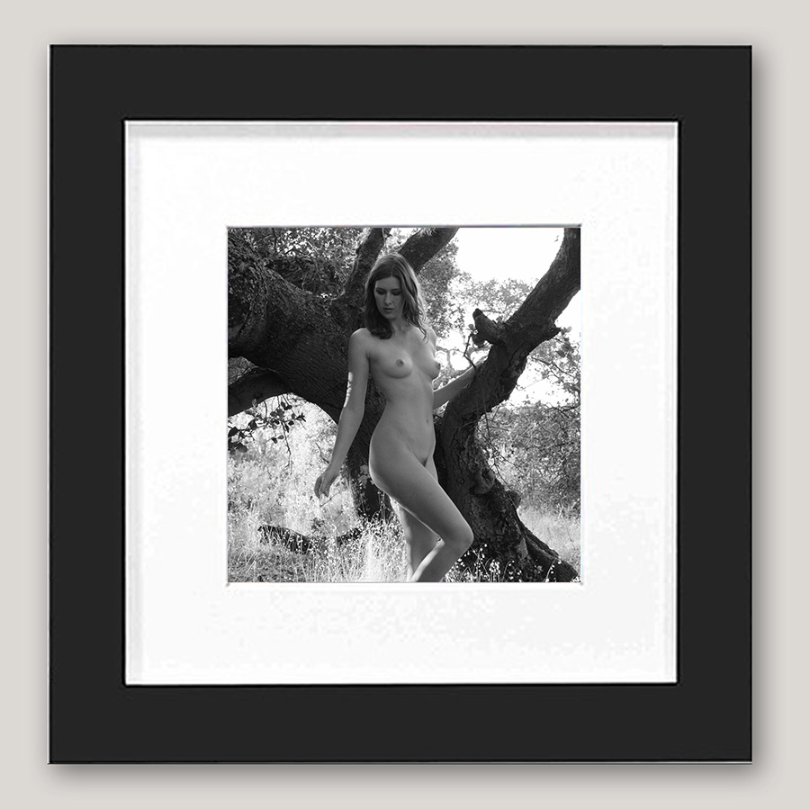 Sienna Hayes Tree 791 – 6×6 mini framed