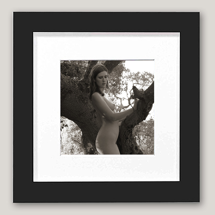 Sienna Hayes Tree 804 – 6×6 mini framed